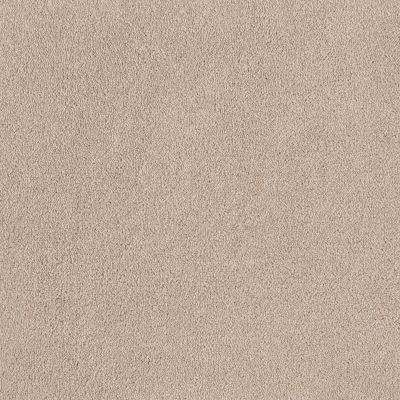 Shaw Floors Anso Premier Dealer Great Effect I 12′ Pudding 00102_Q4327