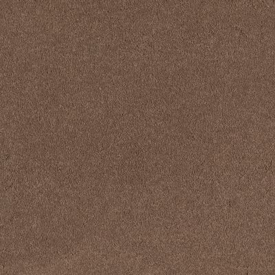 Shaw Floors Anso Premier Dealer Great Effect I 12′ Mojave 00301_Q4327