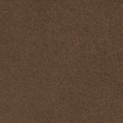 Shaw Floors Anso Premier Dealer Great Effect I 12′ Pine Cone 00703_Q4327