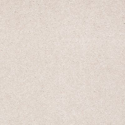 Shaw Floors Anso Premier Dealer Great Effect II 12′ Pudding 00102_Q4329