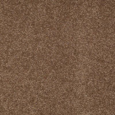 Shaw Floors Anso Premier Dealer Great Effect II 12′ Pine Cone 00703_Q4329