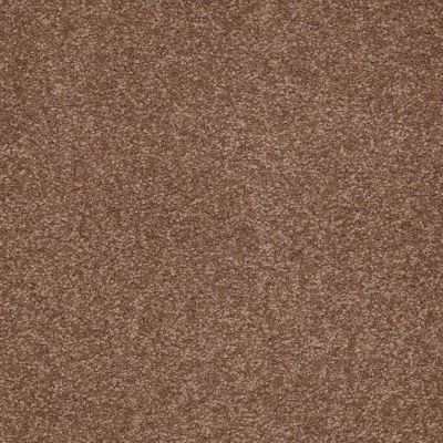 Shaw Floors Anso Premier Dealer Great Effect III 12′ Tuscany 00204_Q4331