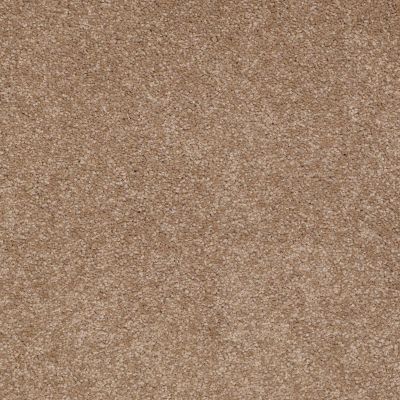 Shaw Floors Anso Premier Dealer Great Effect III 15′ Mojave 00301_Q4332