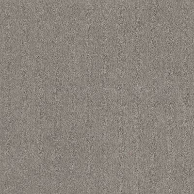 Shaw Floors Shaw Floor Studio Bright Spirit I 12 Silver Charm 00500_Q4648