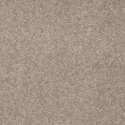 Shaw Floors Shaw Floor Studio Bright Spirit I 15′ Chinchilla 00306_Q4649