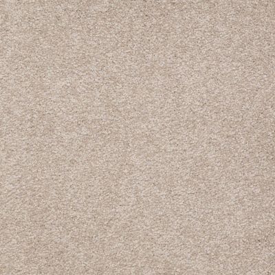 Shaw Floors Shaw Floor Studio Bright Spirit III 15′ Soft Shadow 00105_Q4653
