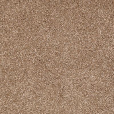 Shaw Floors Shaw Floor Studio Bright Spirit III 15′ Mojave 00301_Q4653