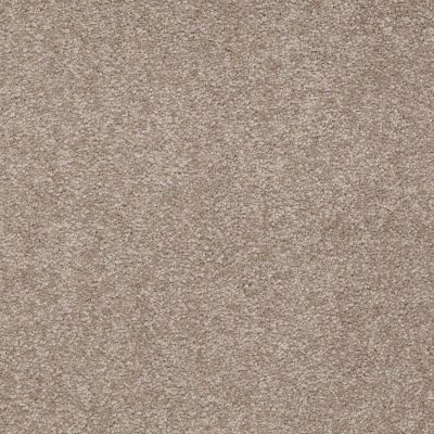 Shaw Floors Shaw Floor Studio Bright Spirit III 15′ Chinchilla 00306_Q4653