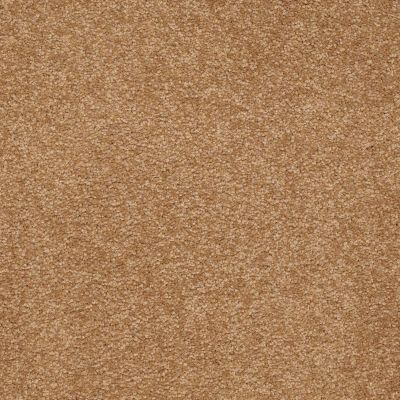 Shaw Floors Shaw Floor Studio Bright Spirit III 15′ Peanut Brittle 00702_Q4653