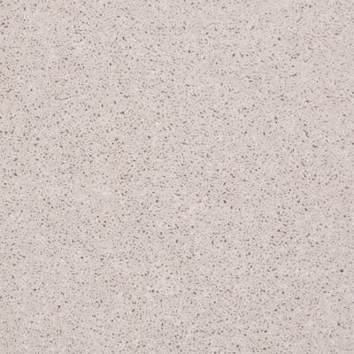 Shaw Floors Queen Point Guard 12′ Halo 00100_Q4855