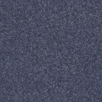 Shaw Floors Queen Point Guard 15′ Charcoal 00545_Q4885