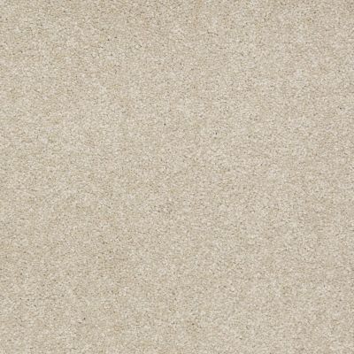 Shaw Floors Shaw Design Center Sweet Valley II 12′ Country Haze 00307_QC422