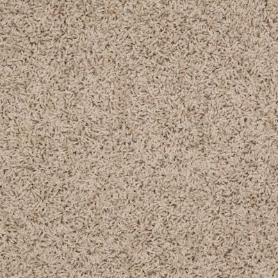 Shaw Floors Shaw Design Center Summer Dreams (s) Bleached Straw 00106_QC438