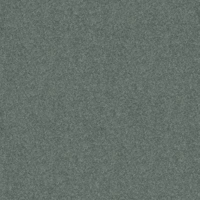 Shaw Floors Roll Special Qs203 12′ Unspecified 00454_QS203