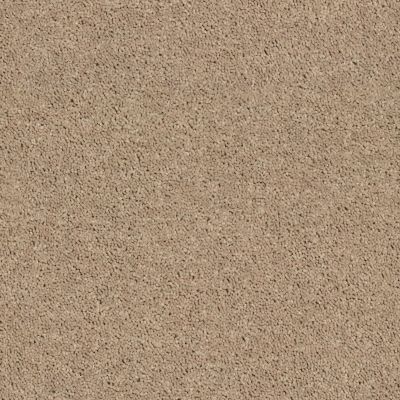 Shaw Floors Roll Special Qs216 Tassel 00107_QS216