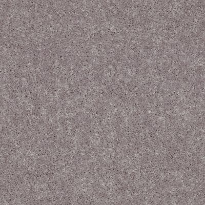 Shaw Floors Roll Special Qs216 River Slate 00720_QS216