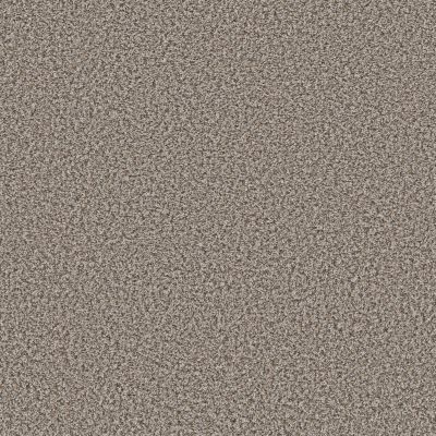 Shaw Floors Simply The Best Qs850 Dolphin 00500_QS850