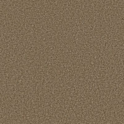 Shaw Floors Simply The Best Qs850 Desert 00711_QS850