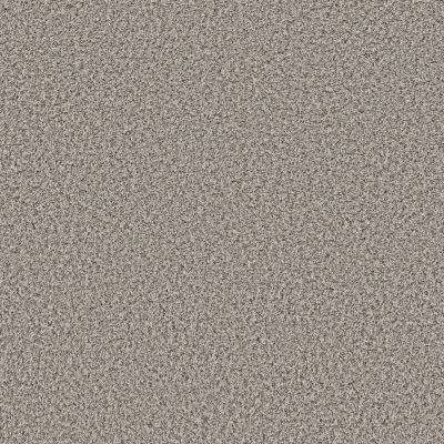Shaw Floors Roll Special Qs852 Exposed Beam 00510_QS852