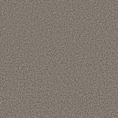 Shaw Floors Roll Special Qs852 Washed Suede 00511_QS852