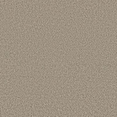 Shaw Floors Roll Special Qs853 Flax 00122_QS853