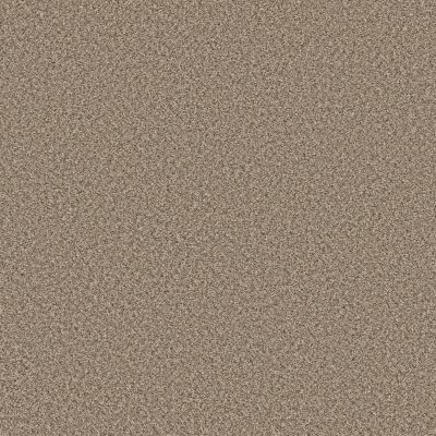 Shaw Floors Roll Special Qs853 Blond Wood 00123_QS853