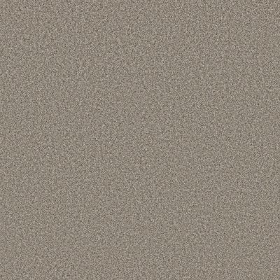 Shaw Floors Roll Special Qs854 Shooting Star 00111_QS854