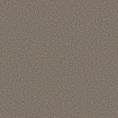 Shaw Floors Roll Special Qs855 Driftwood 00701_QS855