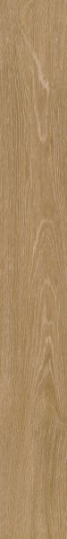 Shaw Floors 5th And Main Symbiotic 12 Reed 00256_5M302