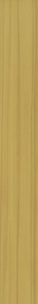 Philadelphia Commercial Resilient Commercial Color Scope 5 Merigold 00230_5041V