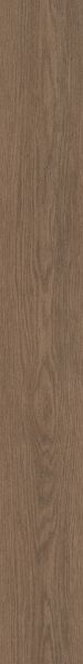 Philadelphia Commercial Resilient Commercial Willow Oak 12m Grounded Oak 07366_5714V