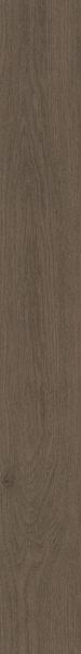 Philadelphia Commercial Resilient Commercial Willow Oak 20m Foothills Oak 07368_5715V