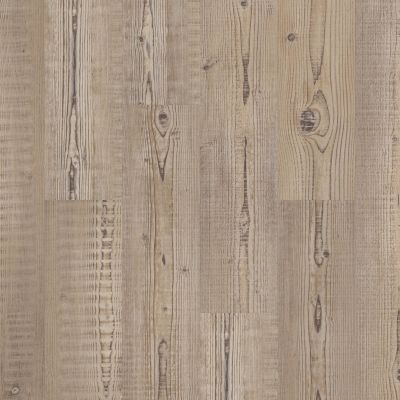 Shaw Floors Sumitomo Forestry Point River Plus Accent Pine 07063_SA1SF