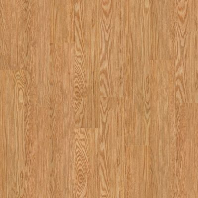 Shaw Floors SFA Georgetown Plus Plank Dutch 00220_SA379