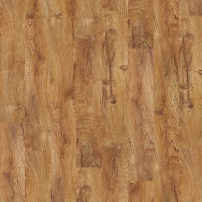 Shaw Floors SFA Georgetown Plus Plank Tropic 00600_SA379