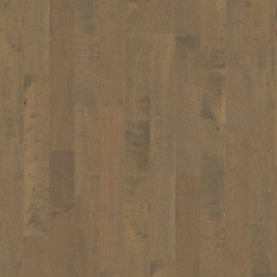 Shaw Floors SFA Tallahassee Oceanside 00529_SA426
