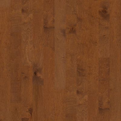 Shaw Floors SFA Clearwater Surfside 00460_SA495