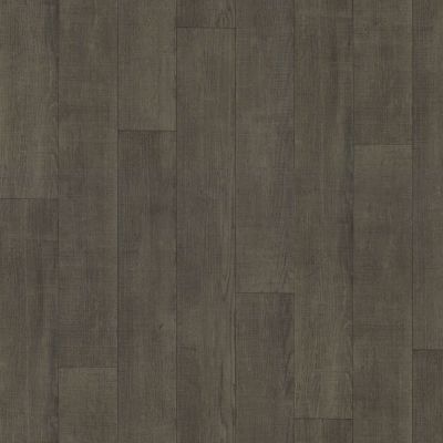 Shaw Floors Resilient Residential Chisholm Kansas 00512_SA612