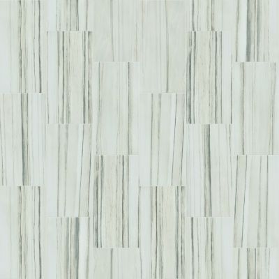 Shaw Floors SFA Vision 12×24 Matte Zebrino 00155_SA951