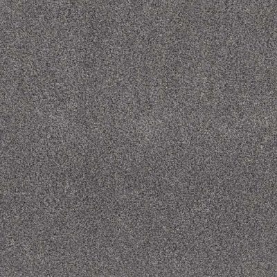 Shaw Floors Pet Perfect Plus Calm Simplicity II Silver Lining 00510_5E273