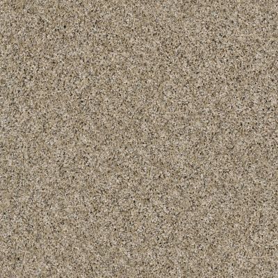 Shaw Floors Caveat Moonlit Sand 00103_SM016
