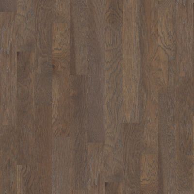 Shaw Floors Shaw Hardwoods Compete Stonehenge 00510_SMW02