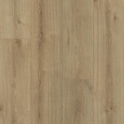 Shaw Floors Sumitomo Forestry Grafton Plus Blaze 07717_SN2SF