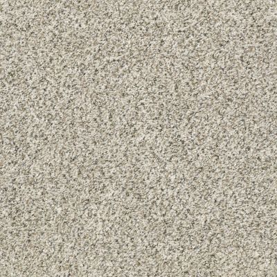 Shaw Floors Temescal Atlantic Sand 00102_SNS40