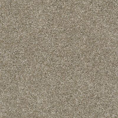 Shaw Floors Pet Perfect Plus Zuma Beach Wild Truffle 00710_SNS47