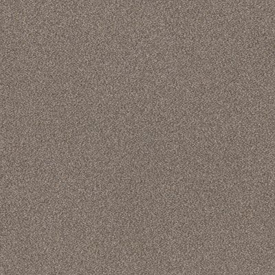 Shaw Floors Muscle Shoals Cobble Drive 00510_SNS65