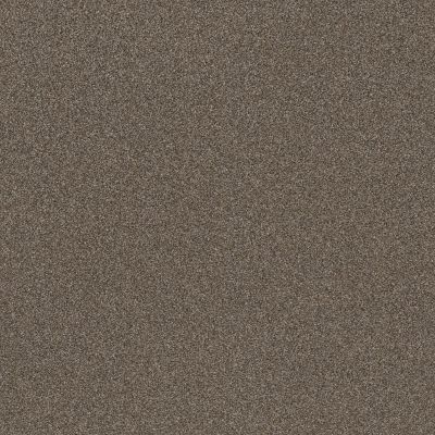 Shaw Floors Muscle Shoals City Scape 00511_SNS65