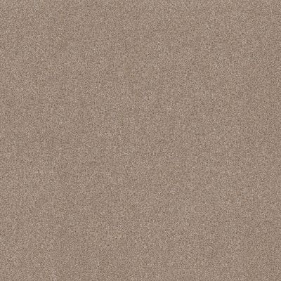 Shaw Floors Muscle Shoals Cottage 00705_SNS65