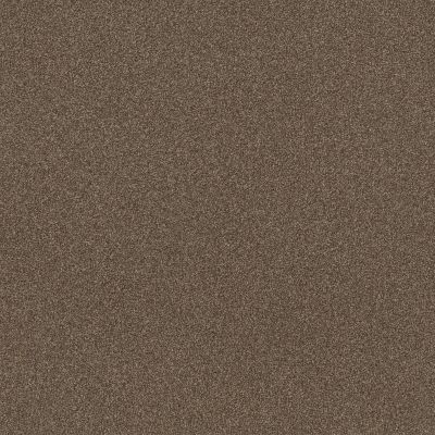 Shaw Floors Muscle Shoals Chestnut 00707_SNS65
