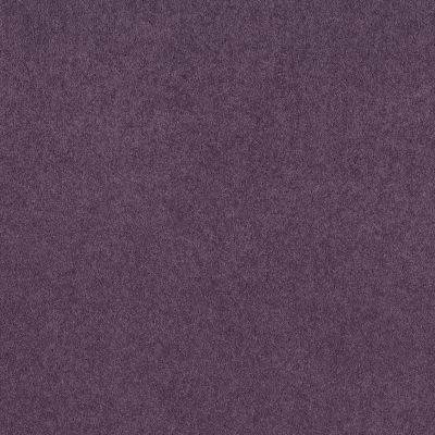 Shaw Floors Gaviota I 12 Violet Crush 00930_SNS68